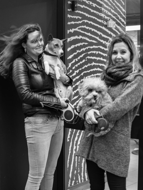 dames hondjes (1 van 1)