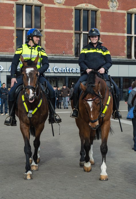 politie te paard (1 van 1)