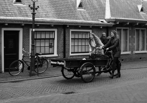 dames bakfiets (1 van 1)