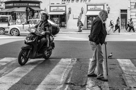 man met stok (1 van 1)