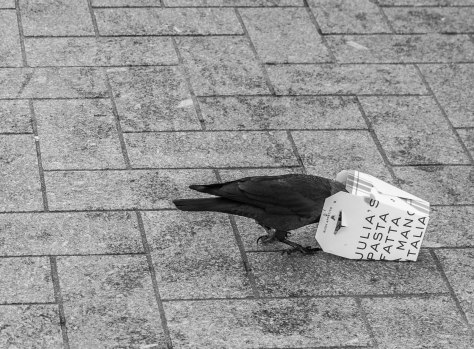 Citybird bakje (1 van 1)